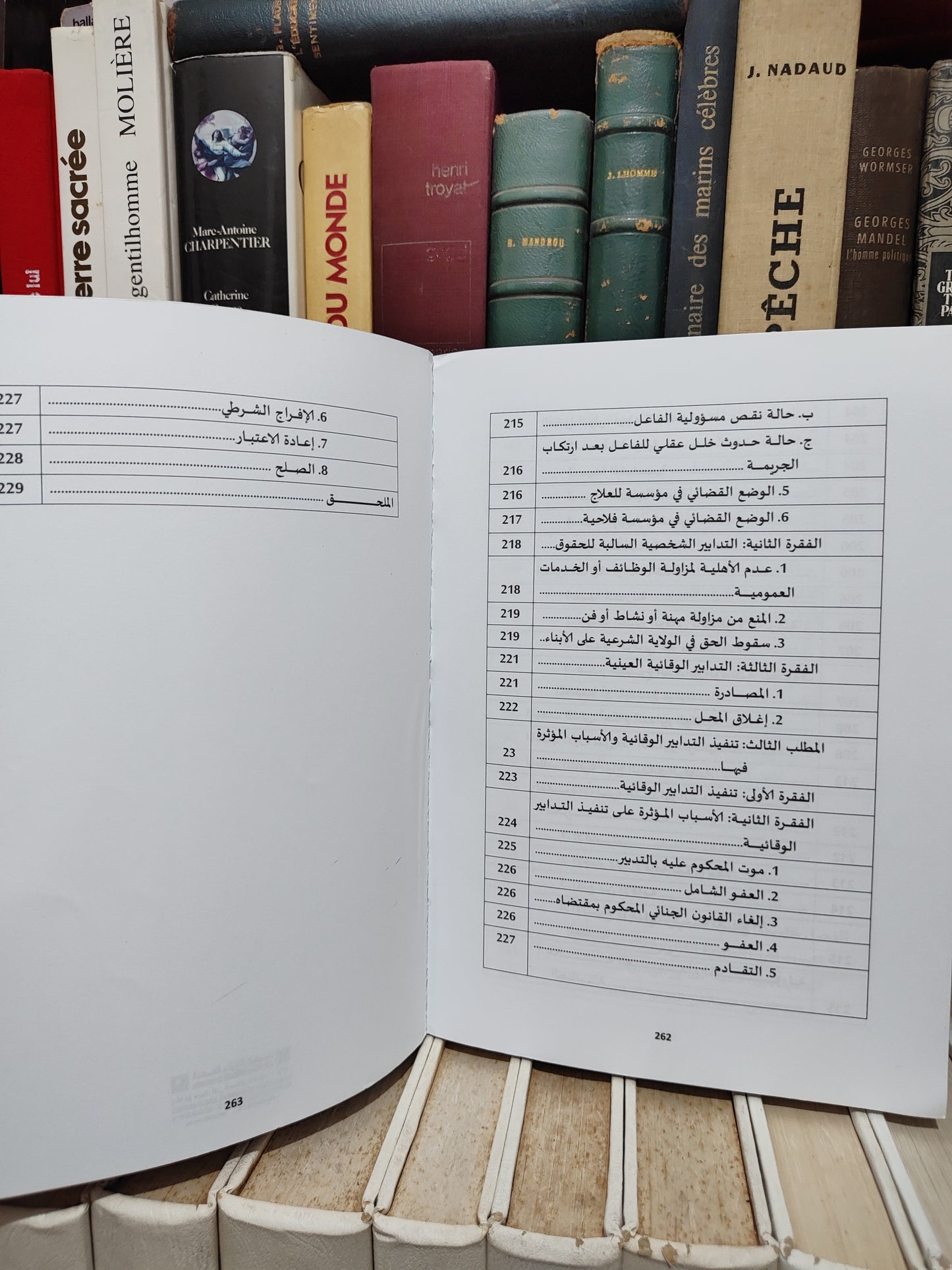 مجيدي - المختصر في القانون الجنائي القسم العام