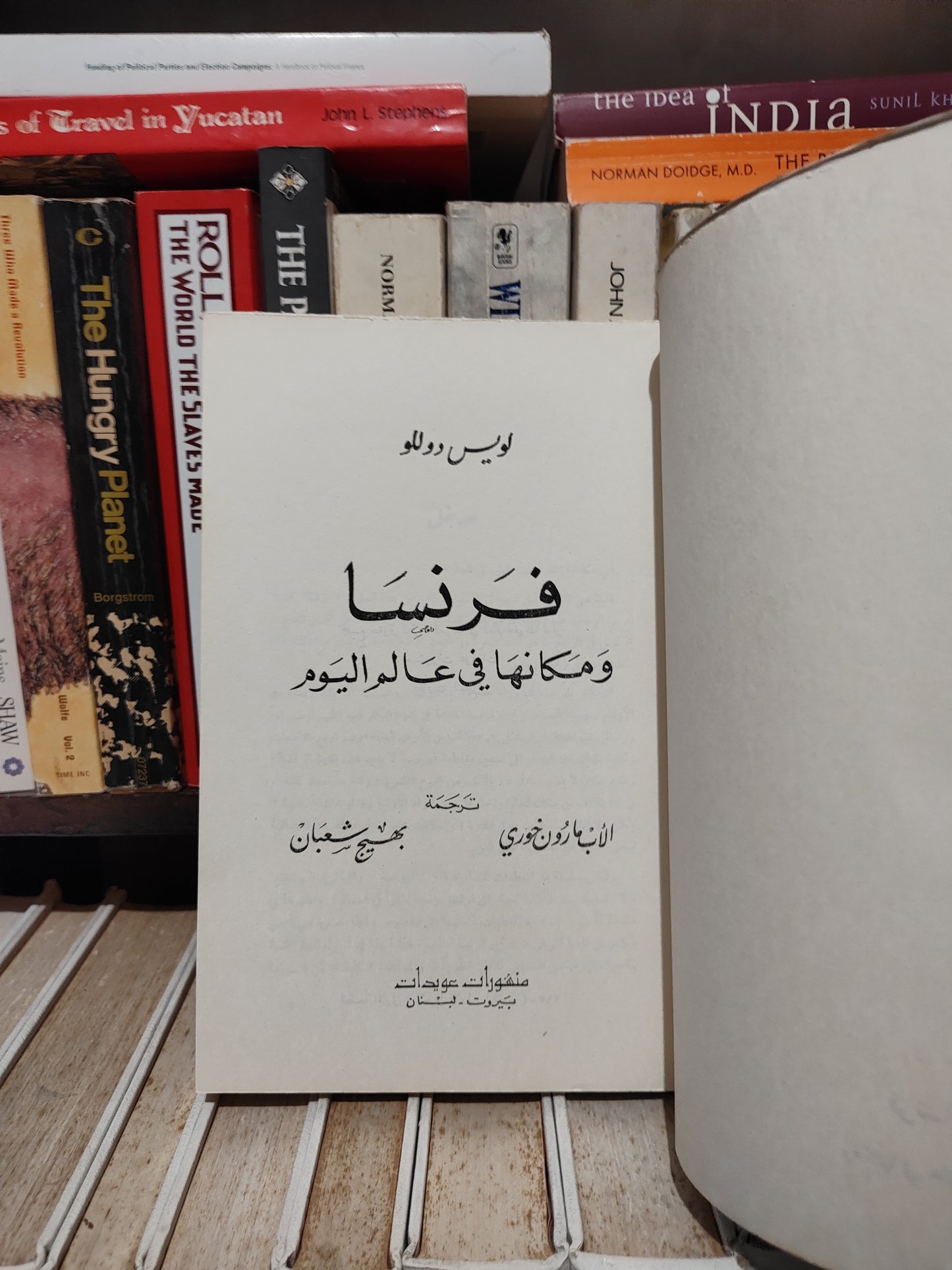 لويس - فرنسا و مكانتها في عالم اليوم