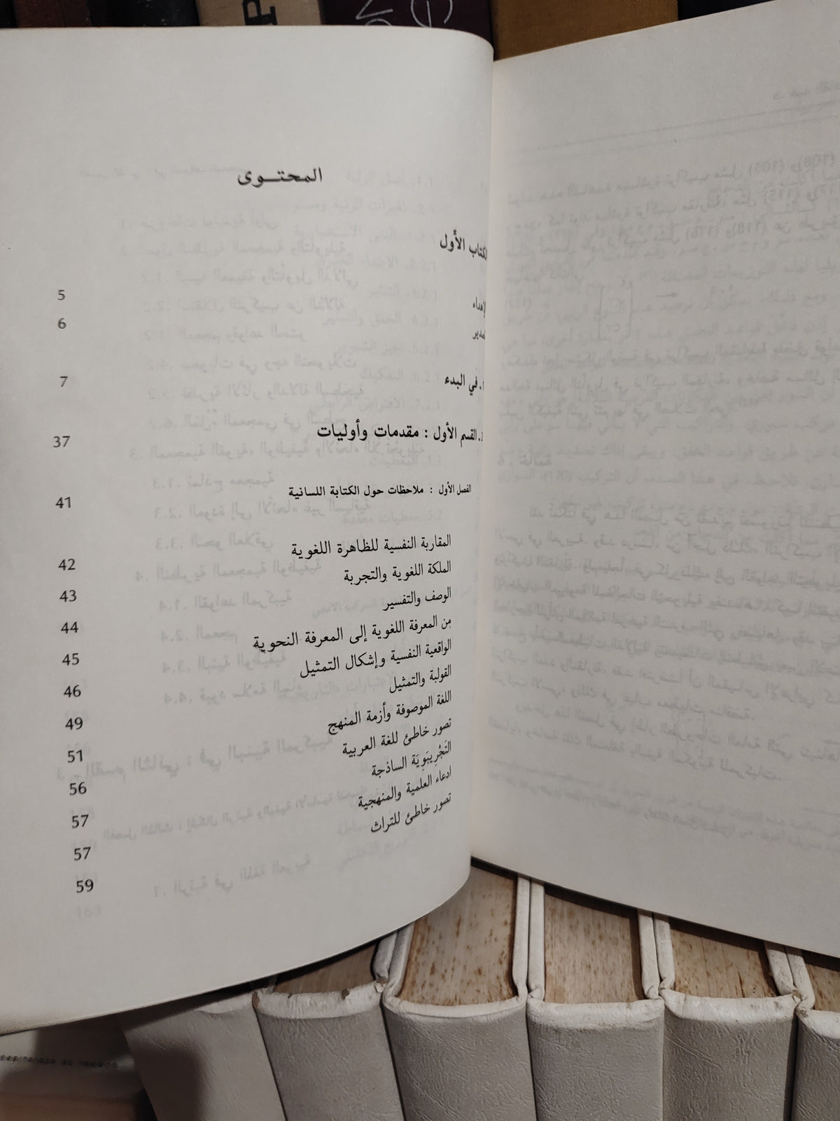 الفهري - اللسانيات و اللغة العربية