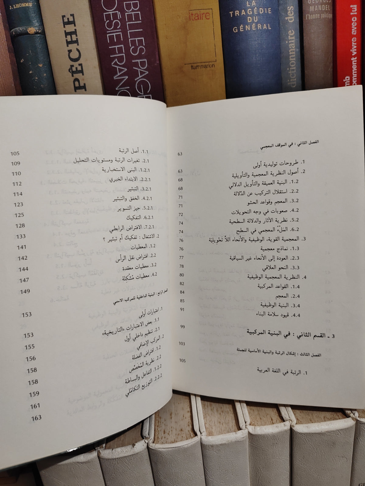 الفهري - اللسانيات و اللغة العربية