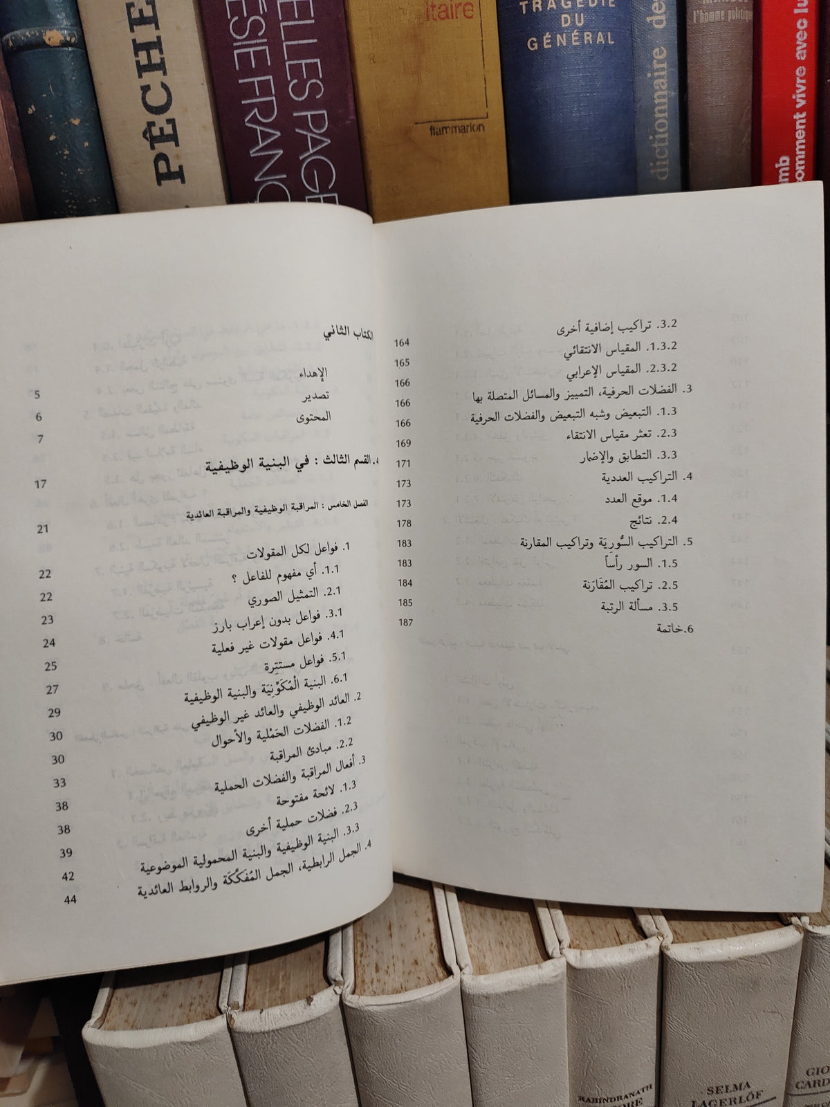 الفهري - اللسانيات و اللغة العربية