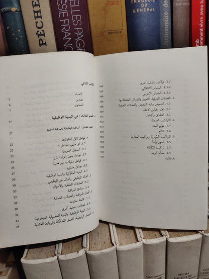 الفهري - اللسانيات و اللغة العربية