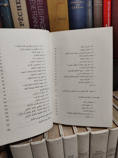 الفهري - اللسانيات و اللغة العربية