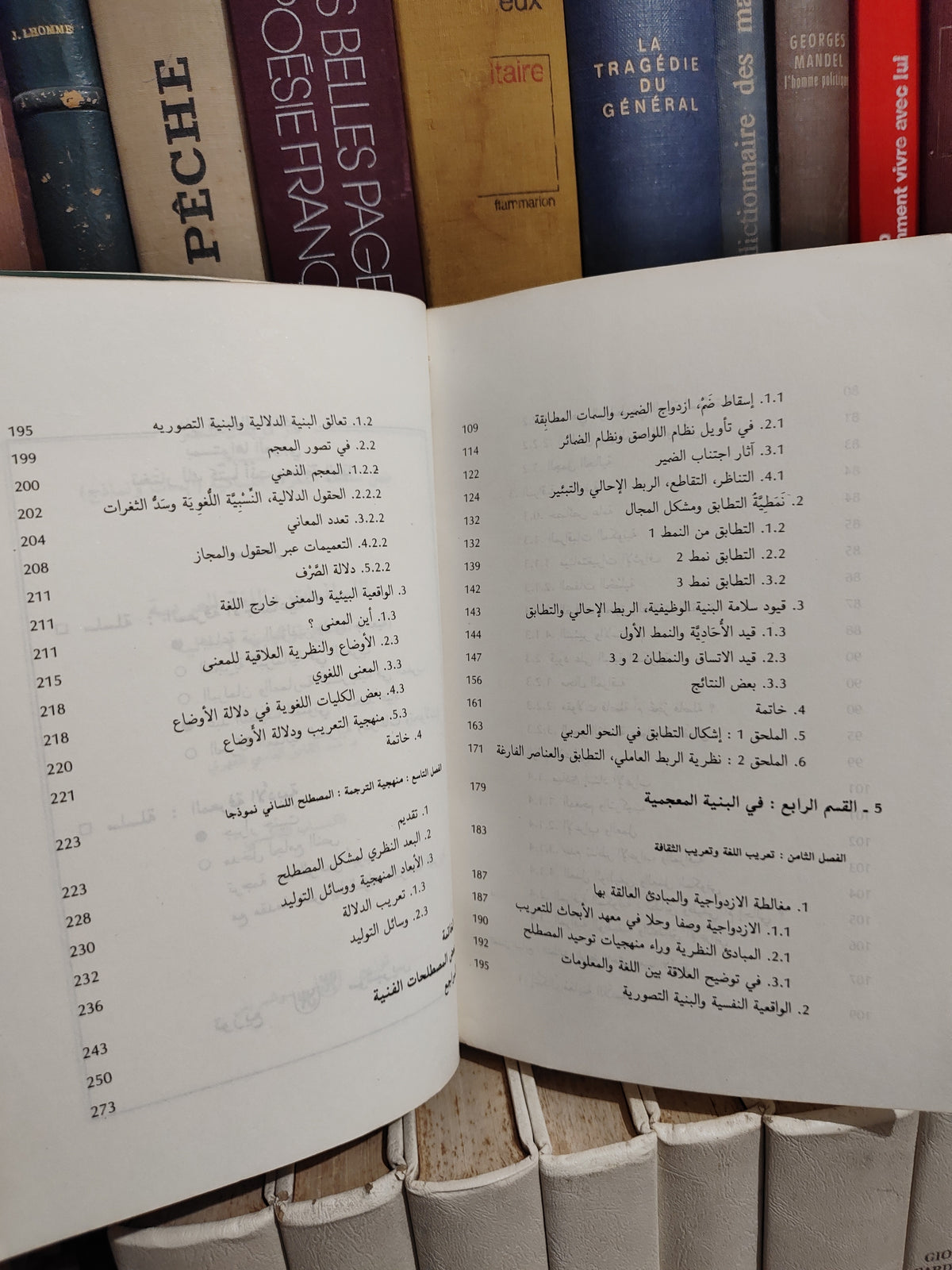 الفهري - اللسانيات و اللغة العربية