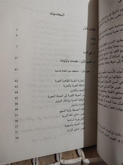 الفهري - اللسانيات و اللغة العربية