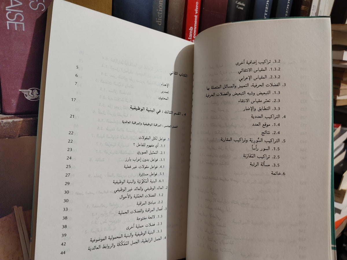 الفهري - اللسانيات و اللغة العربية