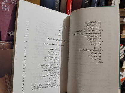 الفهري - اللسانيات و اللغة العربية