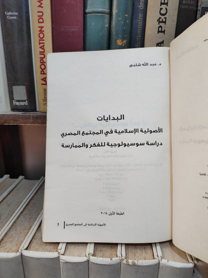 شلبي - البدايات , الأصولية الاسلامية في المجتمع المصري