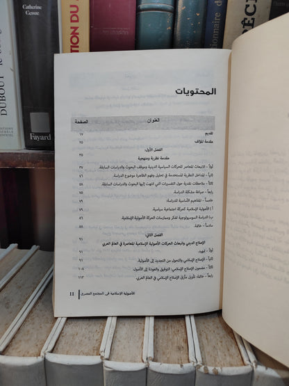 شلبي - البدايات , الأصولية الاسلامية في المجتمع المصري