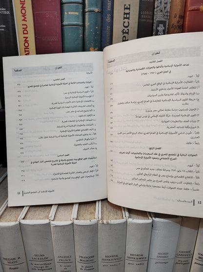 شلبي - البدايات , الأصولية الاسلامية في المجتمع المصري