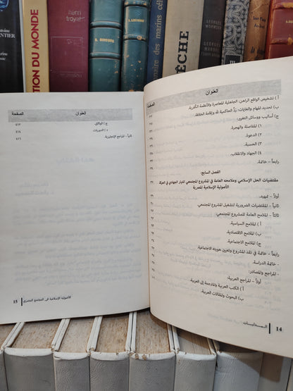 شلبي - البدايات , الأصولية الاسلامية في المجتمع المصري