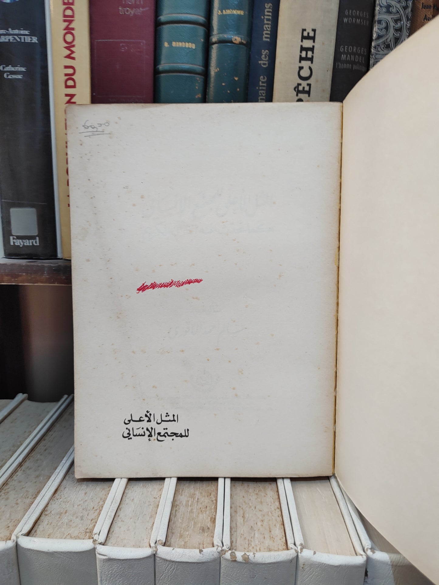 الماقوري - المثل الأعلى للمجتمع الانسانيَ