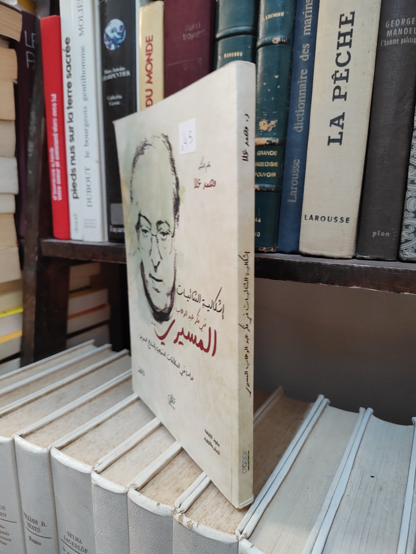 علا - اشكالية الثنائيات في فكر عبد الوهاب المسيري