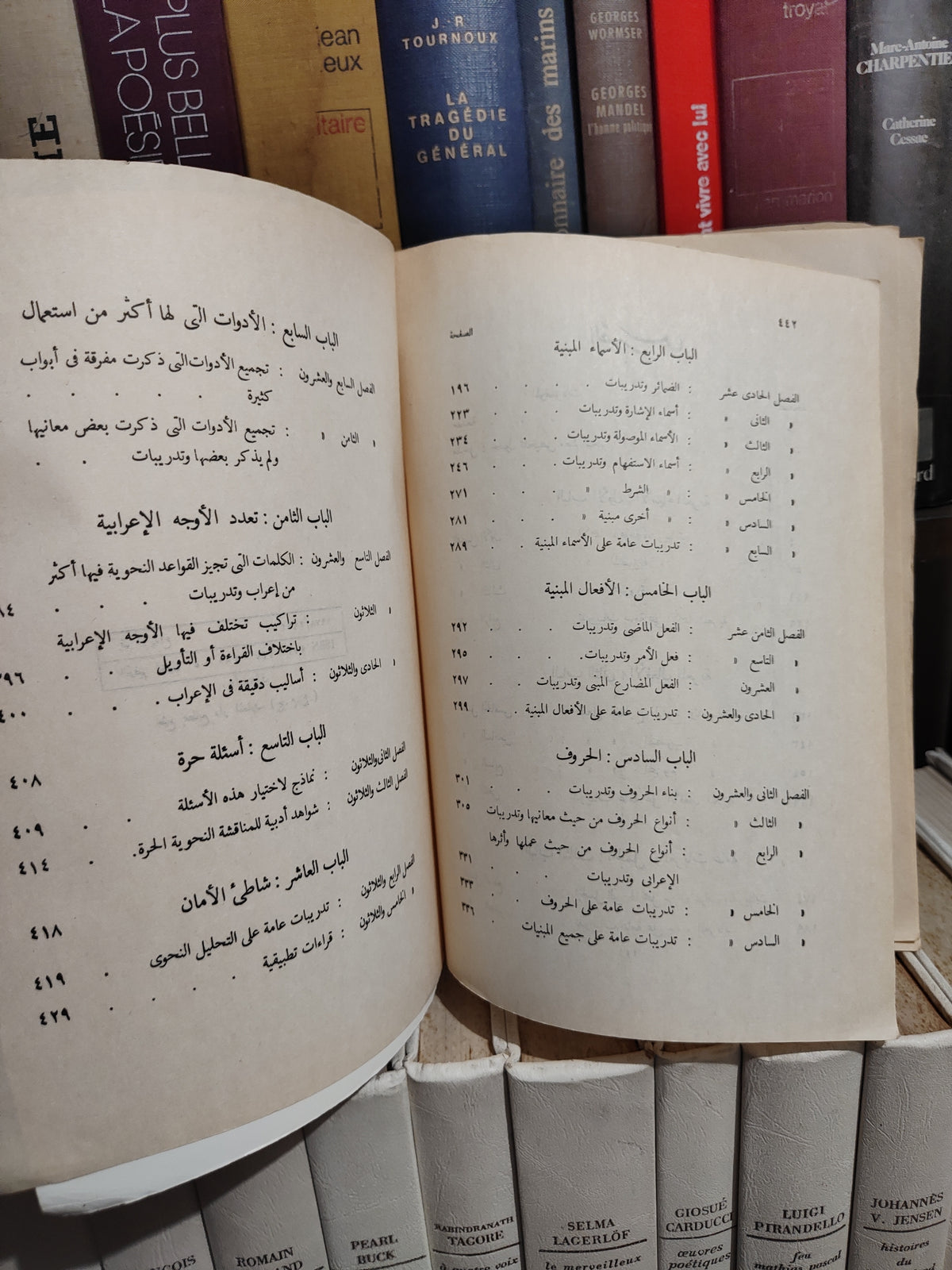 ابراهيم - النحو الوظيفي