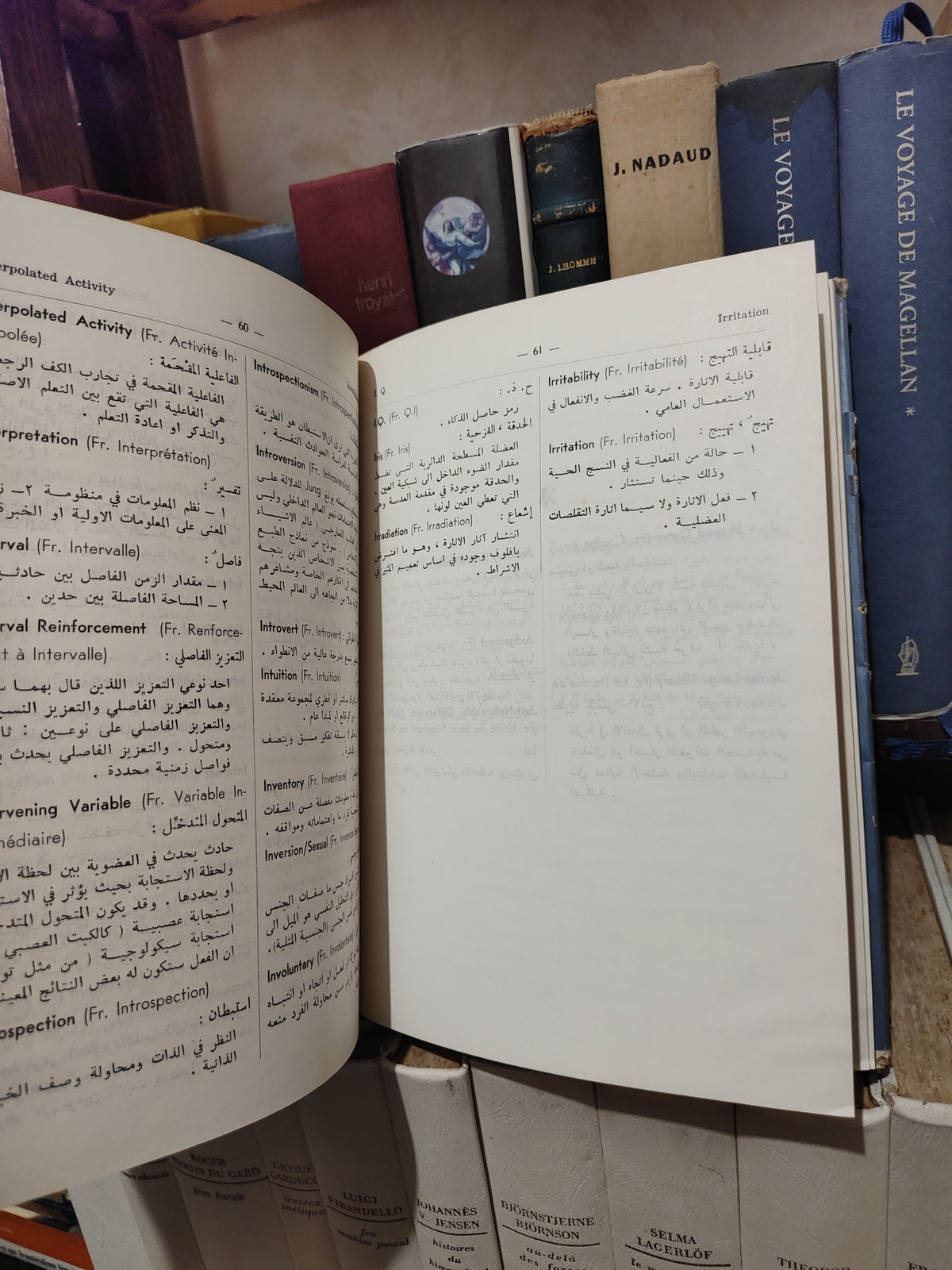 عاقل - معجم علم النفس