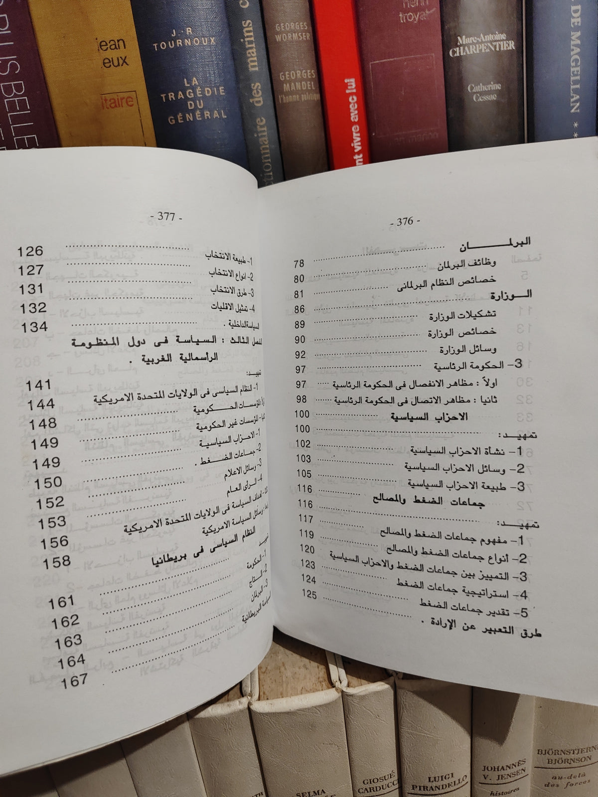 الجوجو - الأنظمة السياسة المقارنة