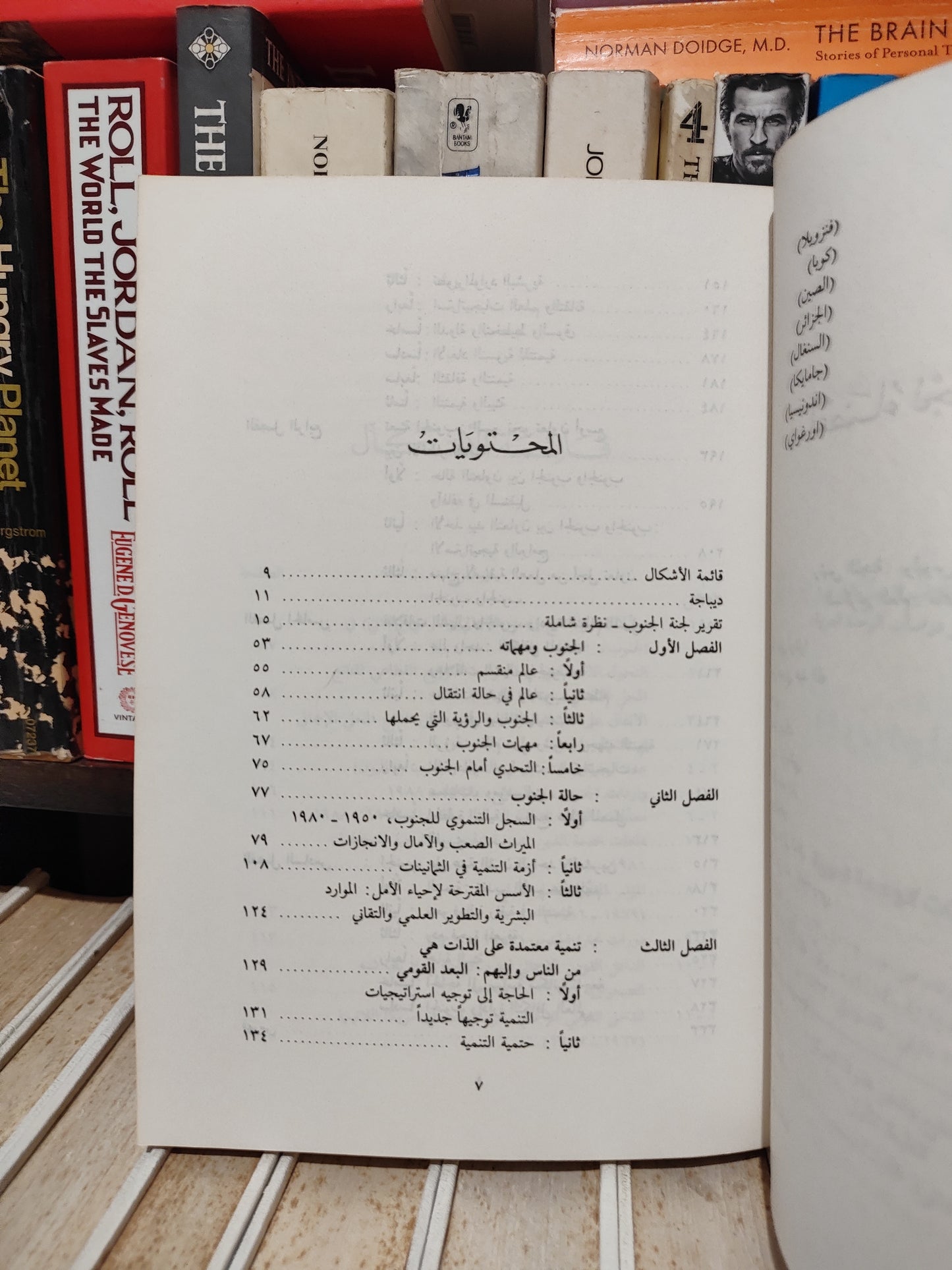 التحدي أمام الجنوب تقرير لجنة الجنوب