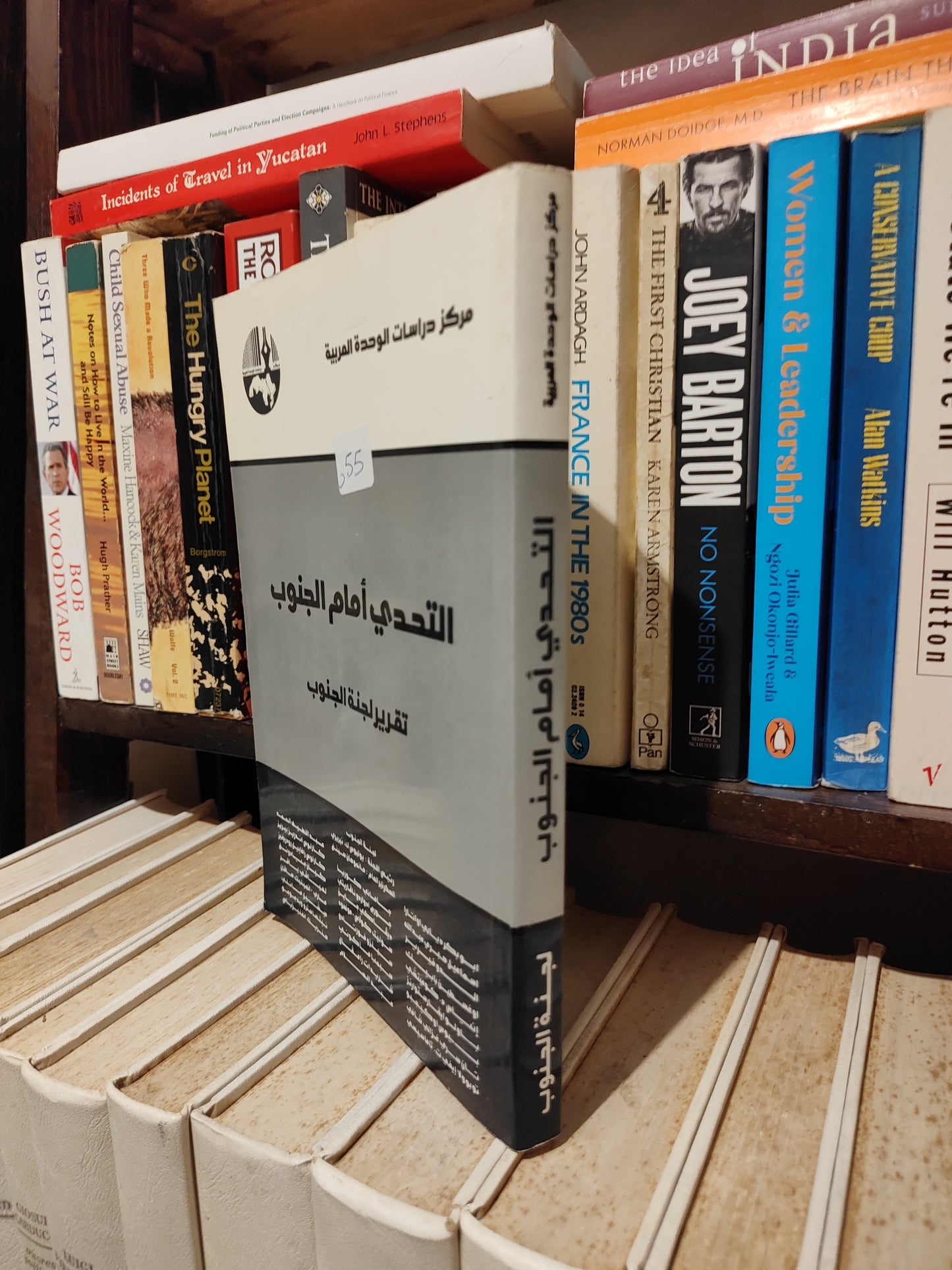 التحدي أمام الجنوب تقرير لجنة الجنوب