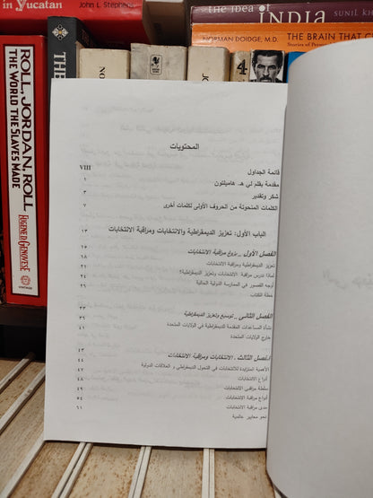 بيورنولد - ما وراء الانتخابات الحرة و النزيهة