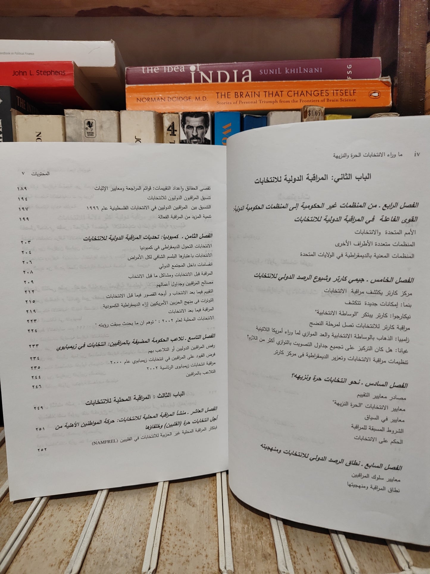 بيورنولد - ما وراء الانتخابات الحرة و النزيهة