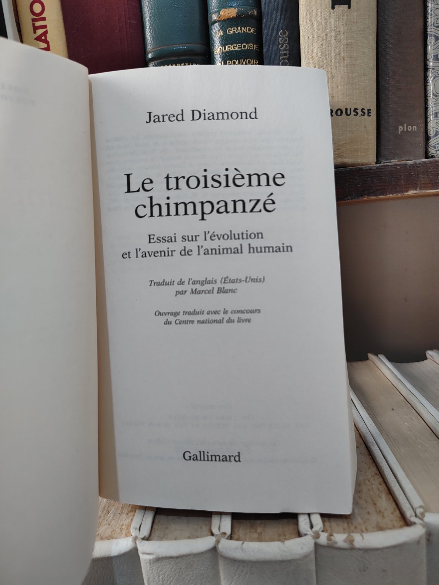 Diamond - Le troisième chimpanzé