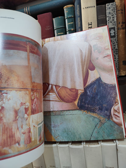 Giotto Le storie francescane ad Assisi