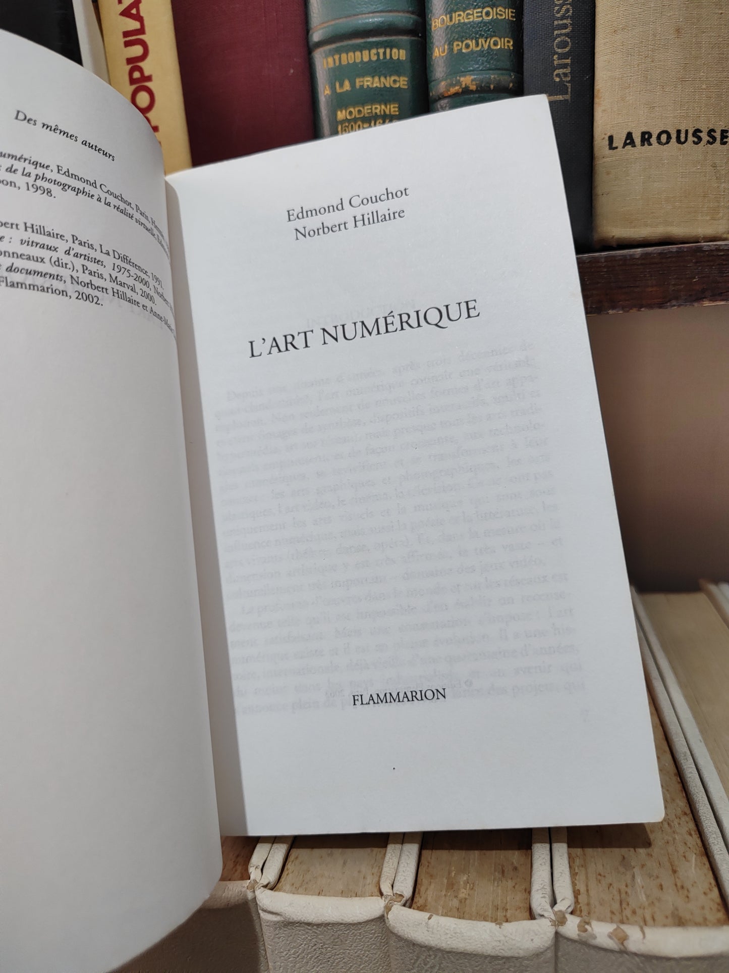 Couchot - L'art numérique