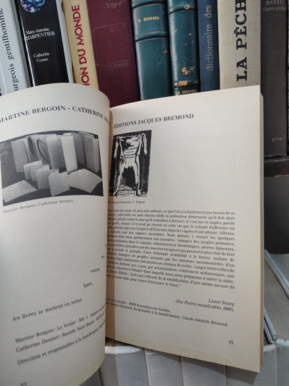 L'art a la page
