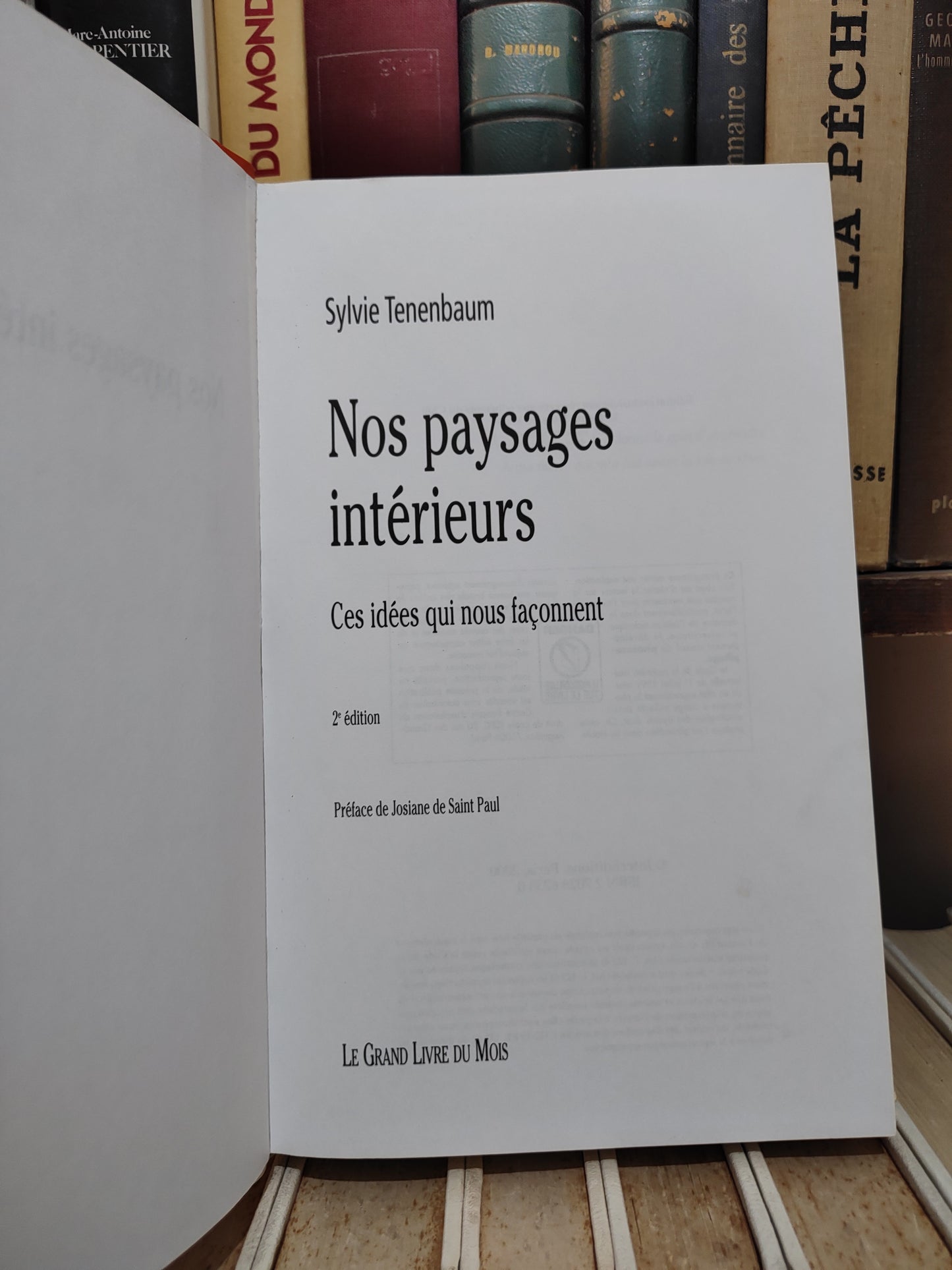 Tenenbaum - Nos paysages intérieurs : ces idées qui nous façonnent