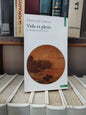 Cheng - Vilde et plein : le language pictural chinoi