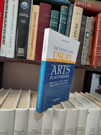 Dictionnaire usuel des arts plastiques