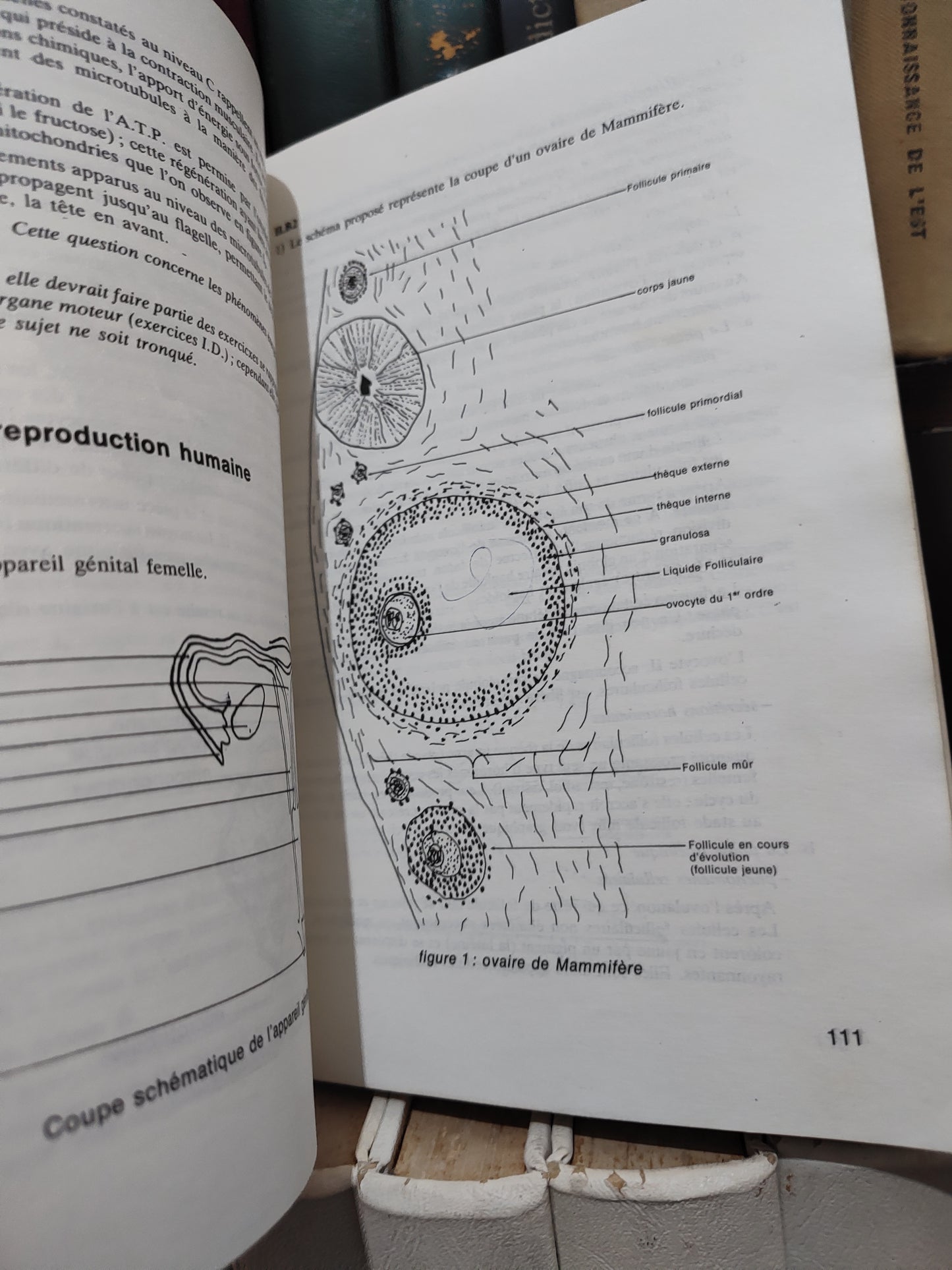 Comment résoudre les problèmes de sciences naturelles