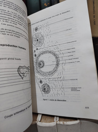 Comment résoudre les problèmes de sciences naturelles