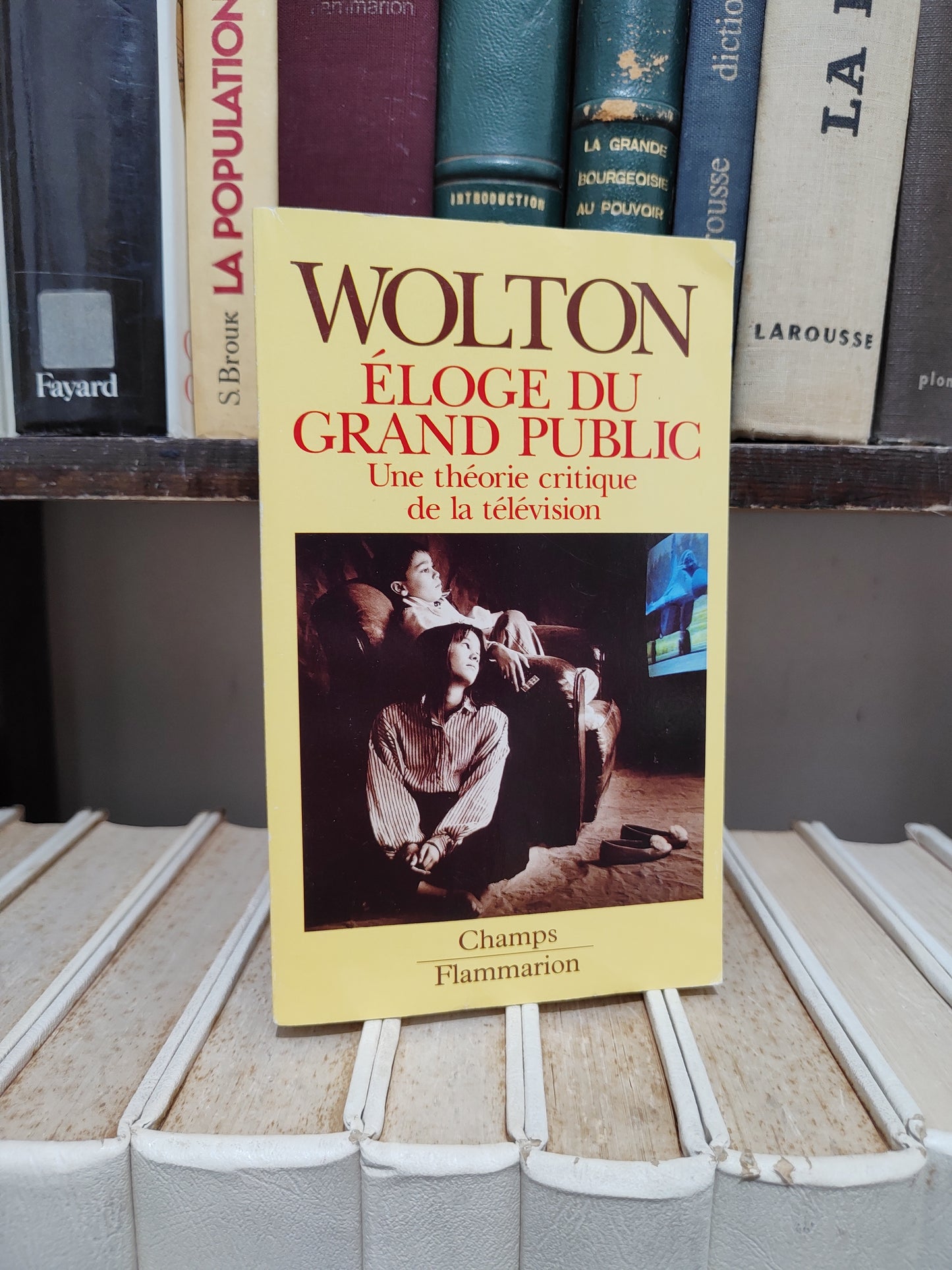 Wolton - Eloge du grand public une théorie critique de la télévision
