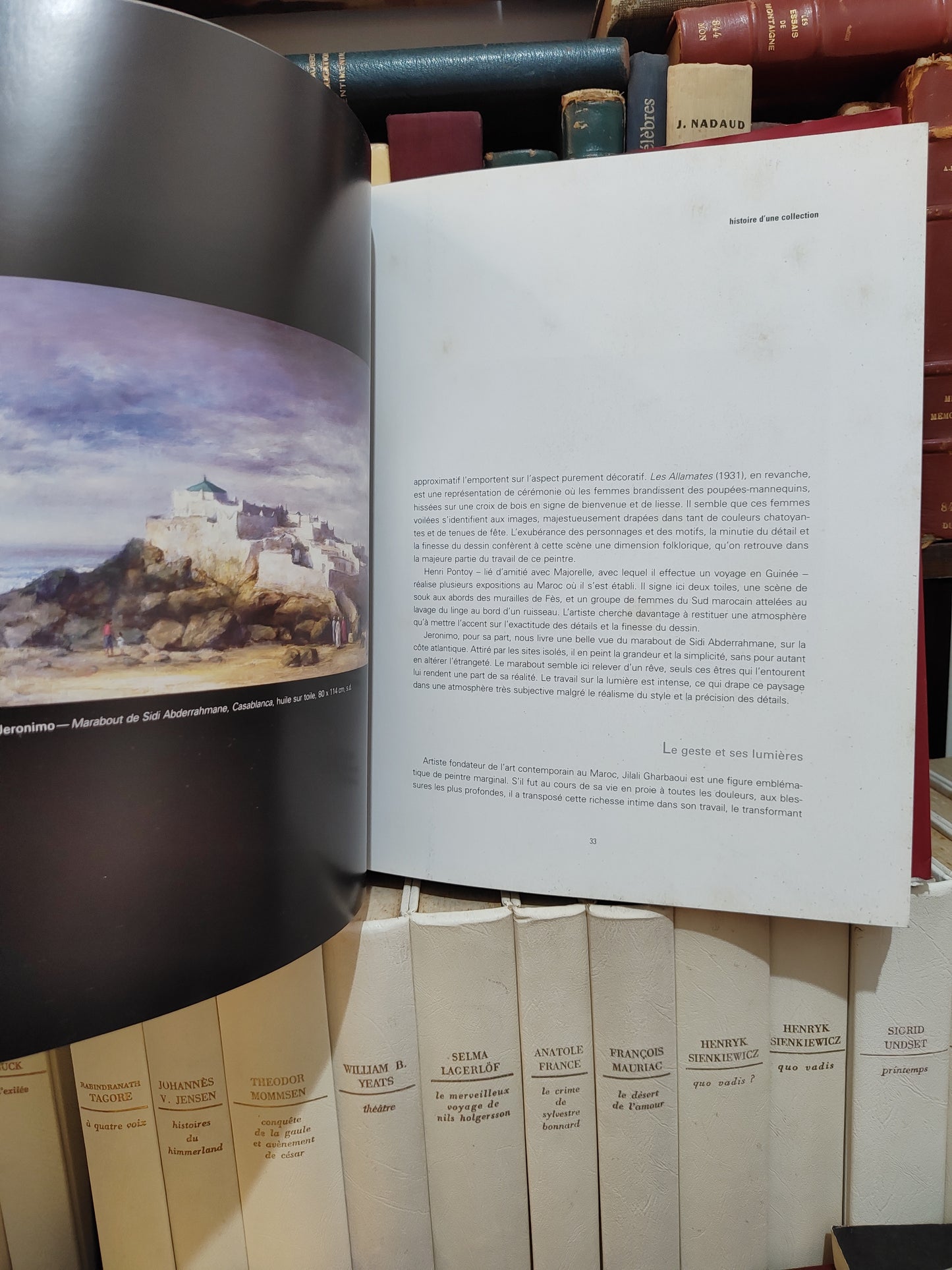 F Zahi - 30 ans de mécénat histoire d'une collection