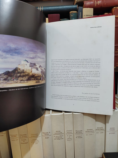 F Zahi - 30 ans de mécénat histoire d'une collection