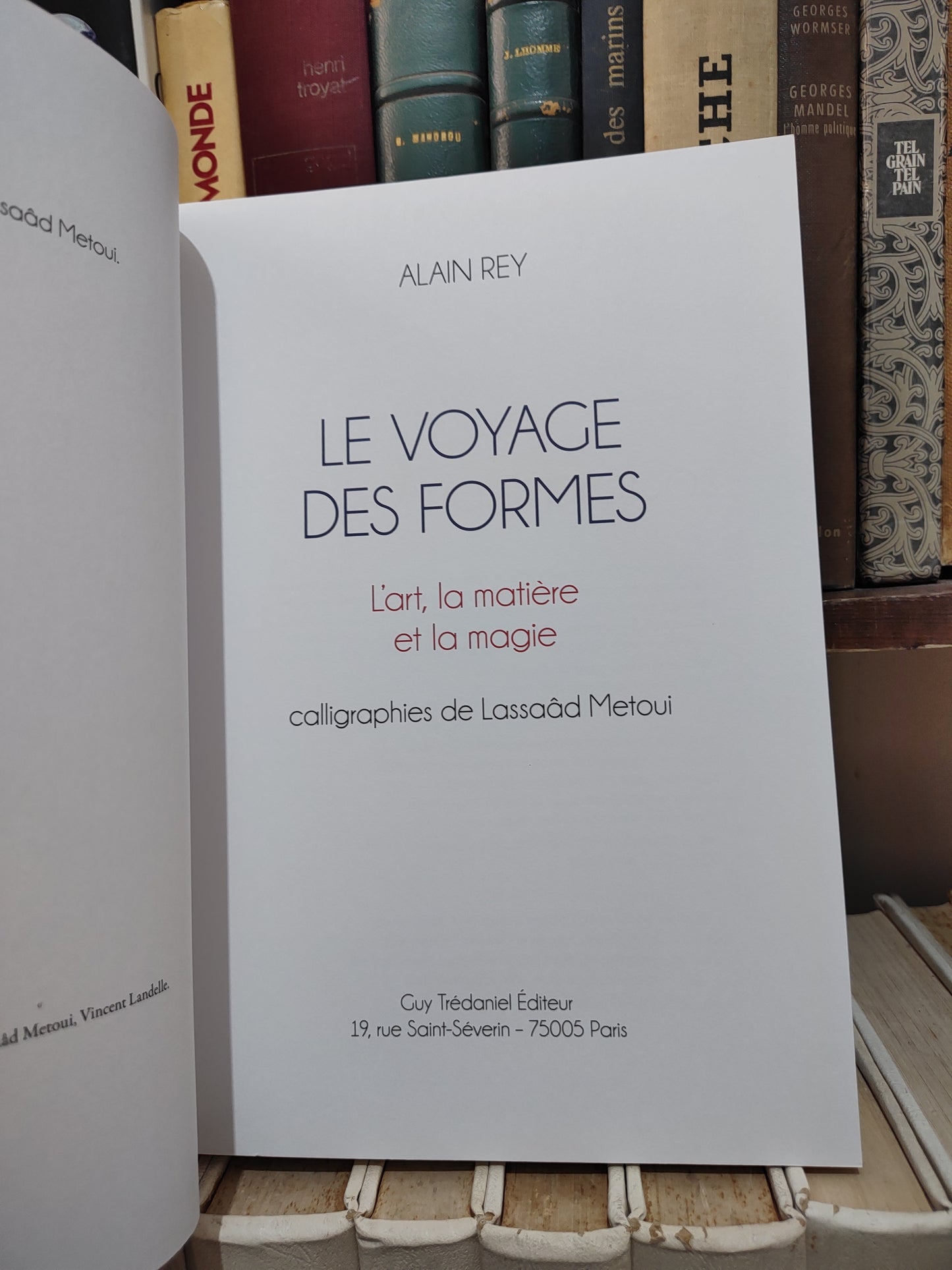 Rey - Le voyage des formes : L'art la matière et la magie