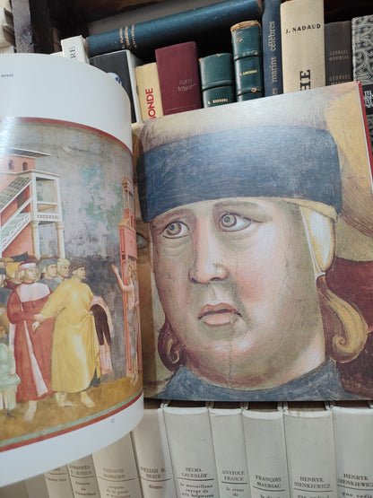 Giotto Le storie francescane ad Assisi