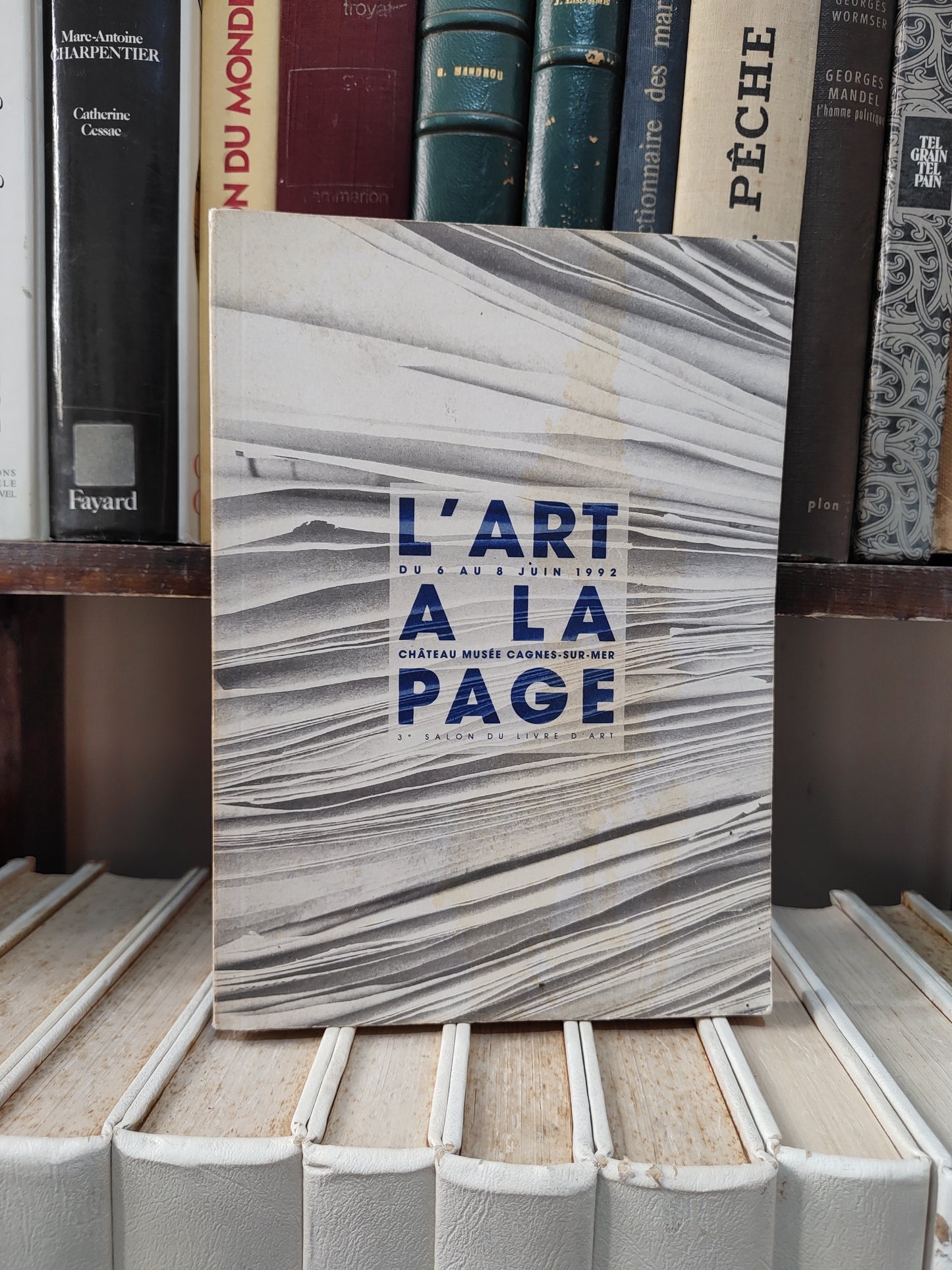 L'art a la page