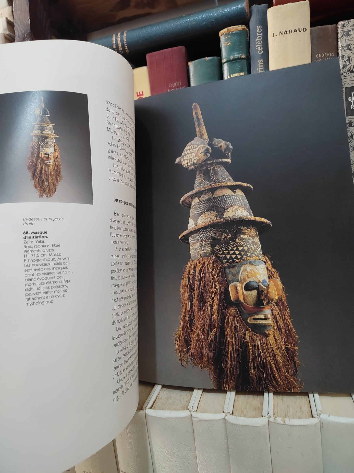 Meyer - Afrique noire masques sculpture bijoux