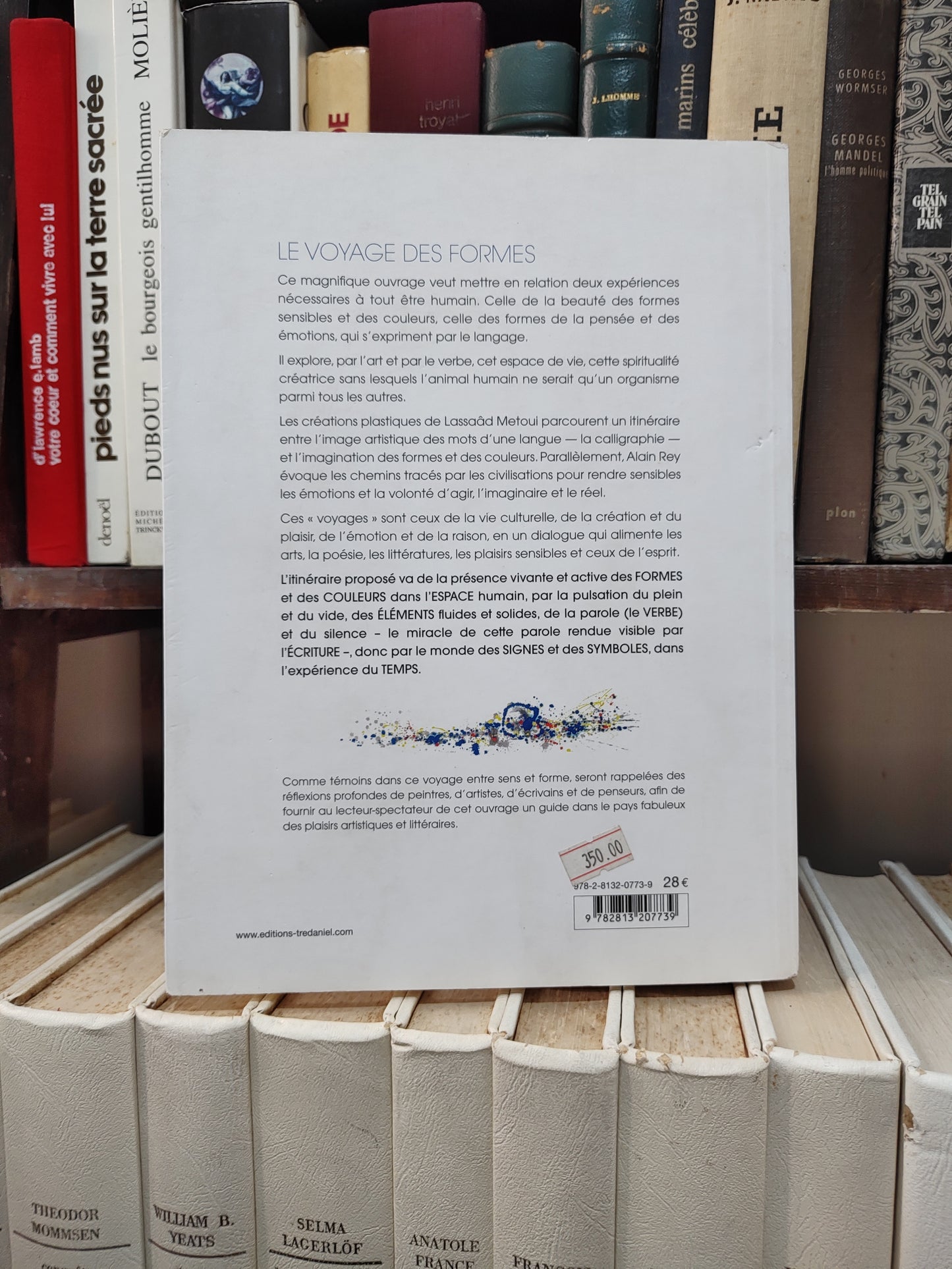 Rey - Le voyage des formes : L'art la matière et la magie