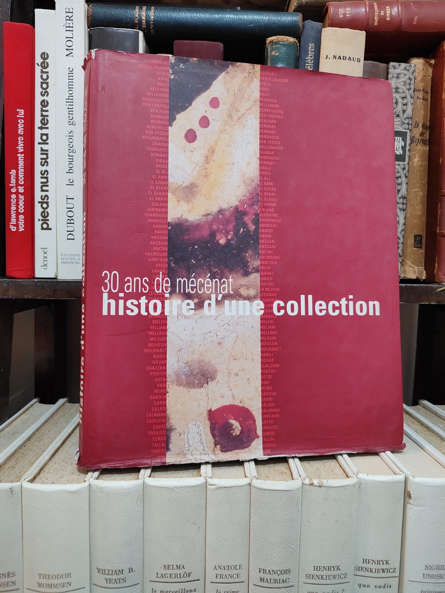 F Zahi - 30 ans de mécénat histoire d'une collection