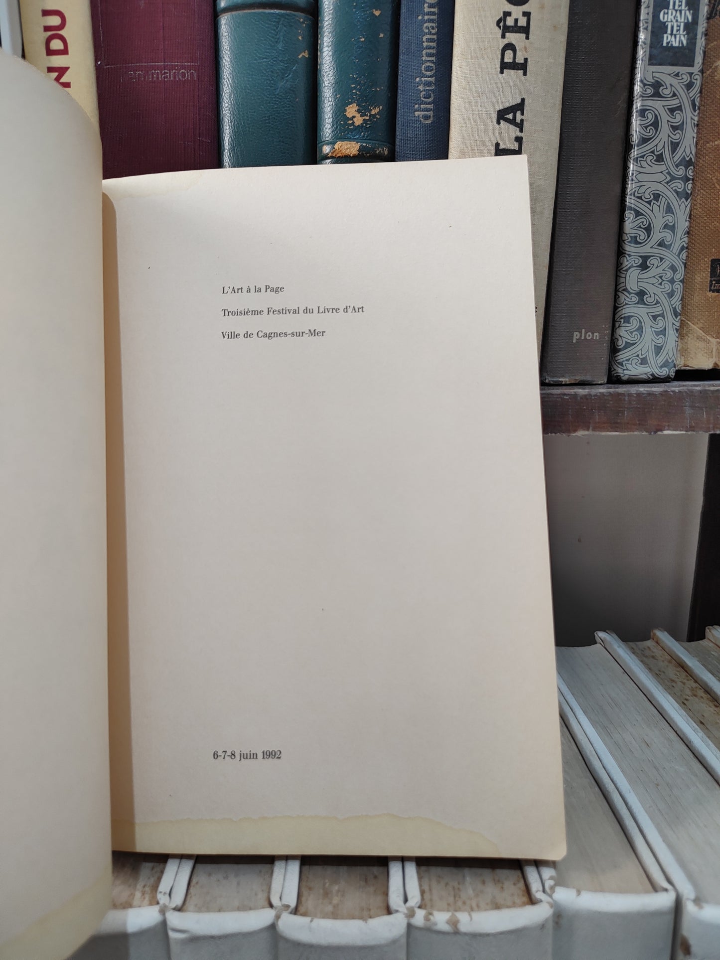 L'art a la page