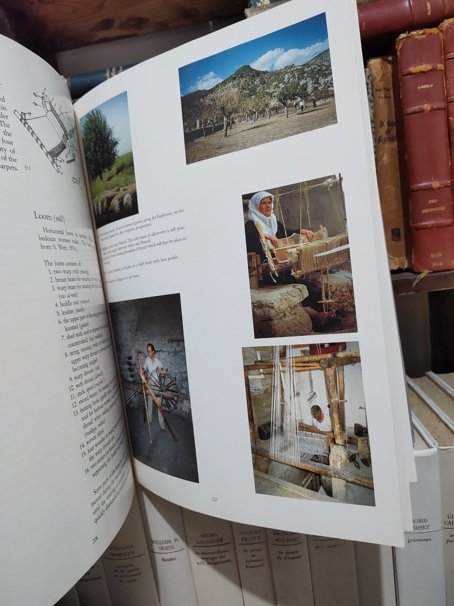 Kalter - The art and craft os Syria