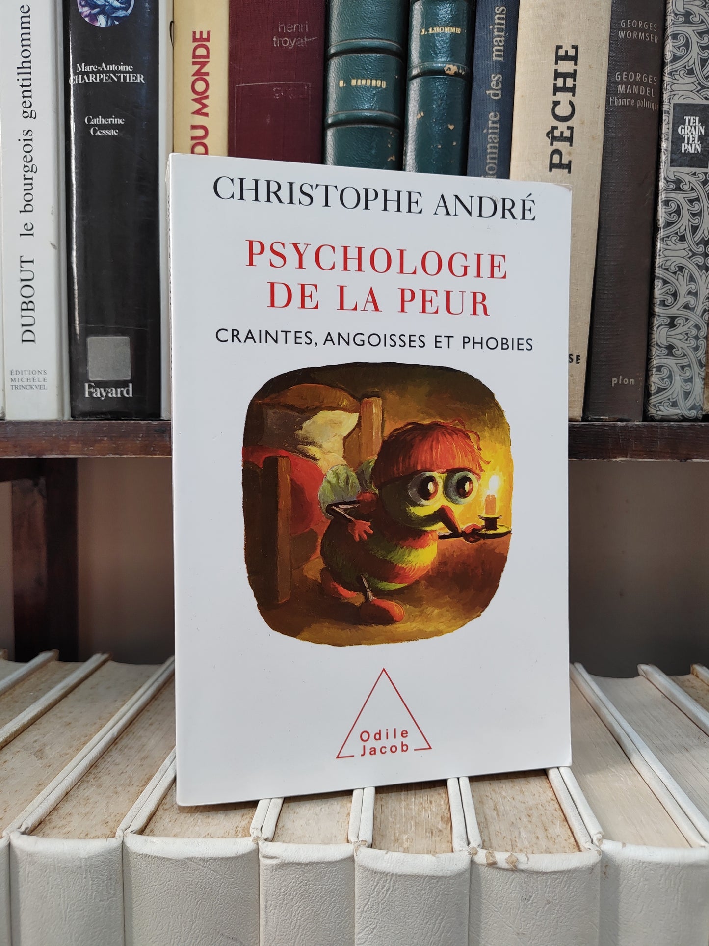 André - Psychologie de la peur