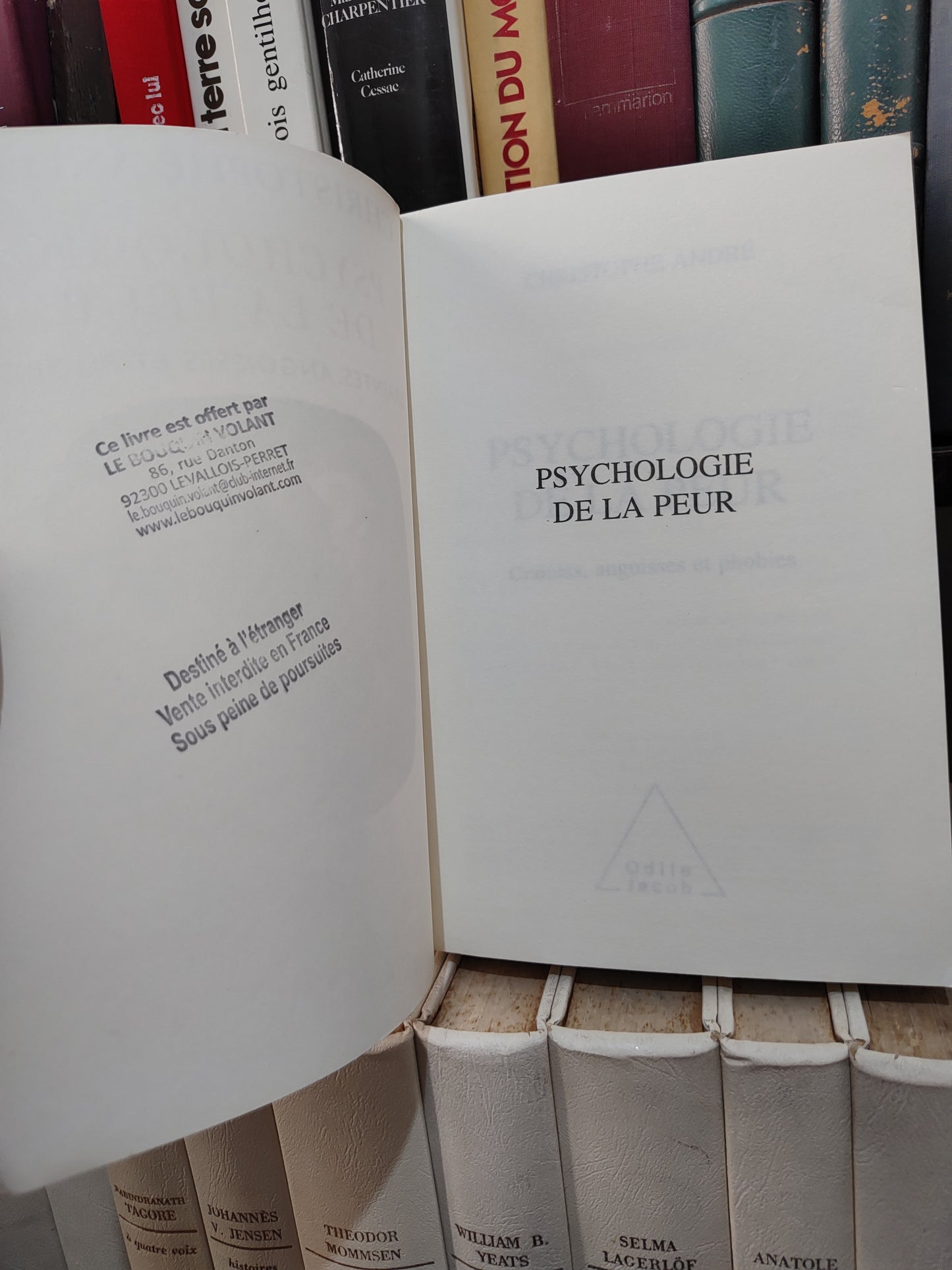 André - Psychologie de la peur
