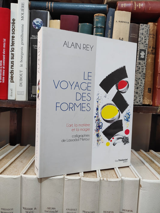 Rey - Le voyage des formes : L'art la matière et la magie