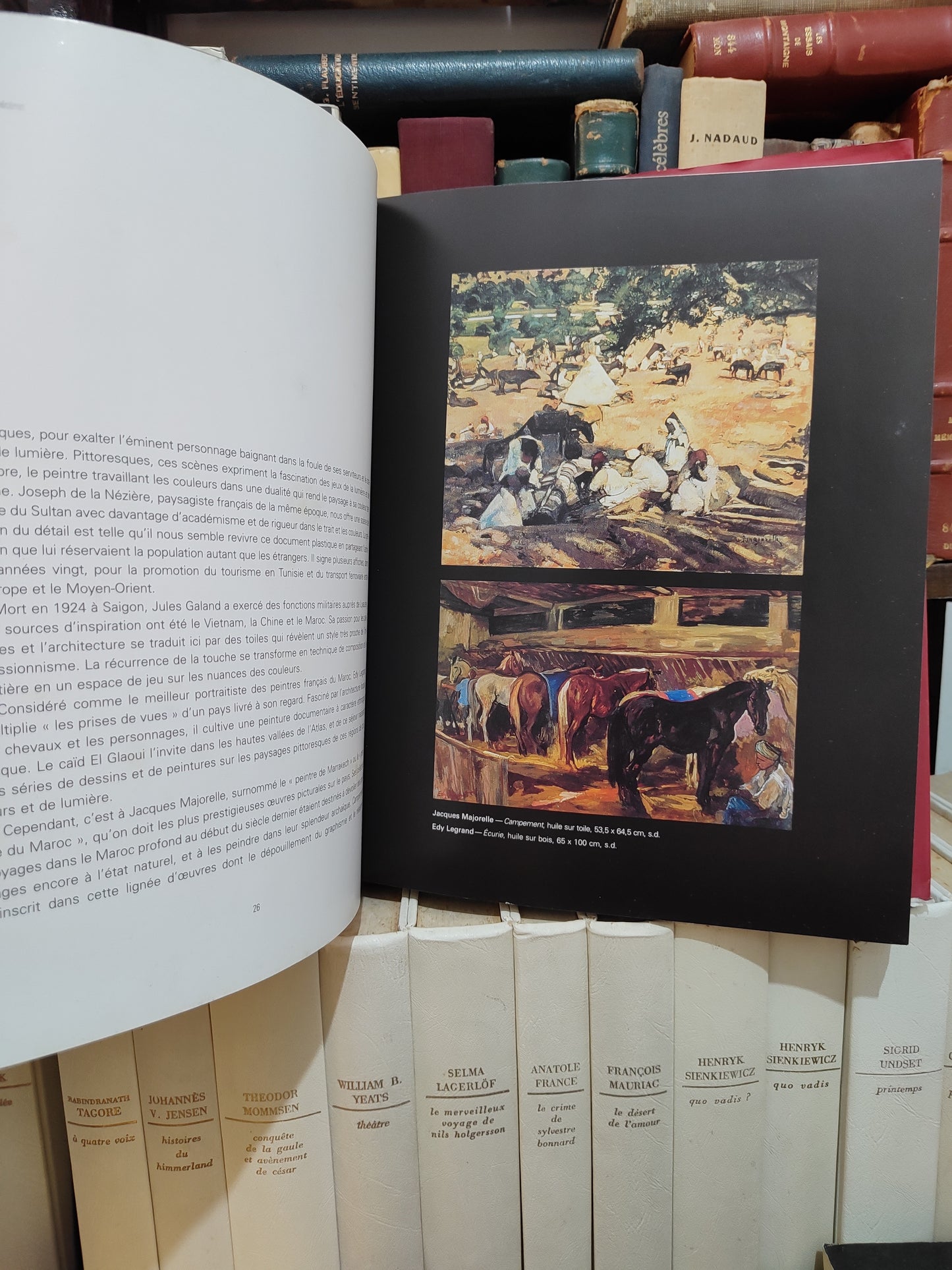 F Zahi - 30 ans de mécénat histoire d'une collection