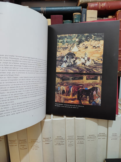 F Zahi - 30 ans de mécénat histoire d'une collection