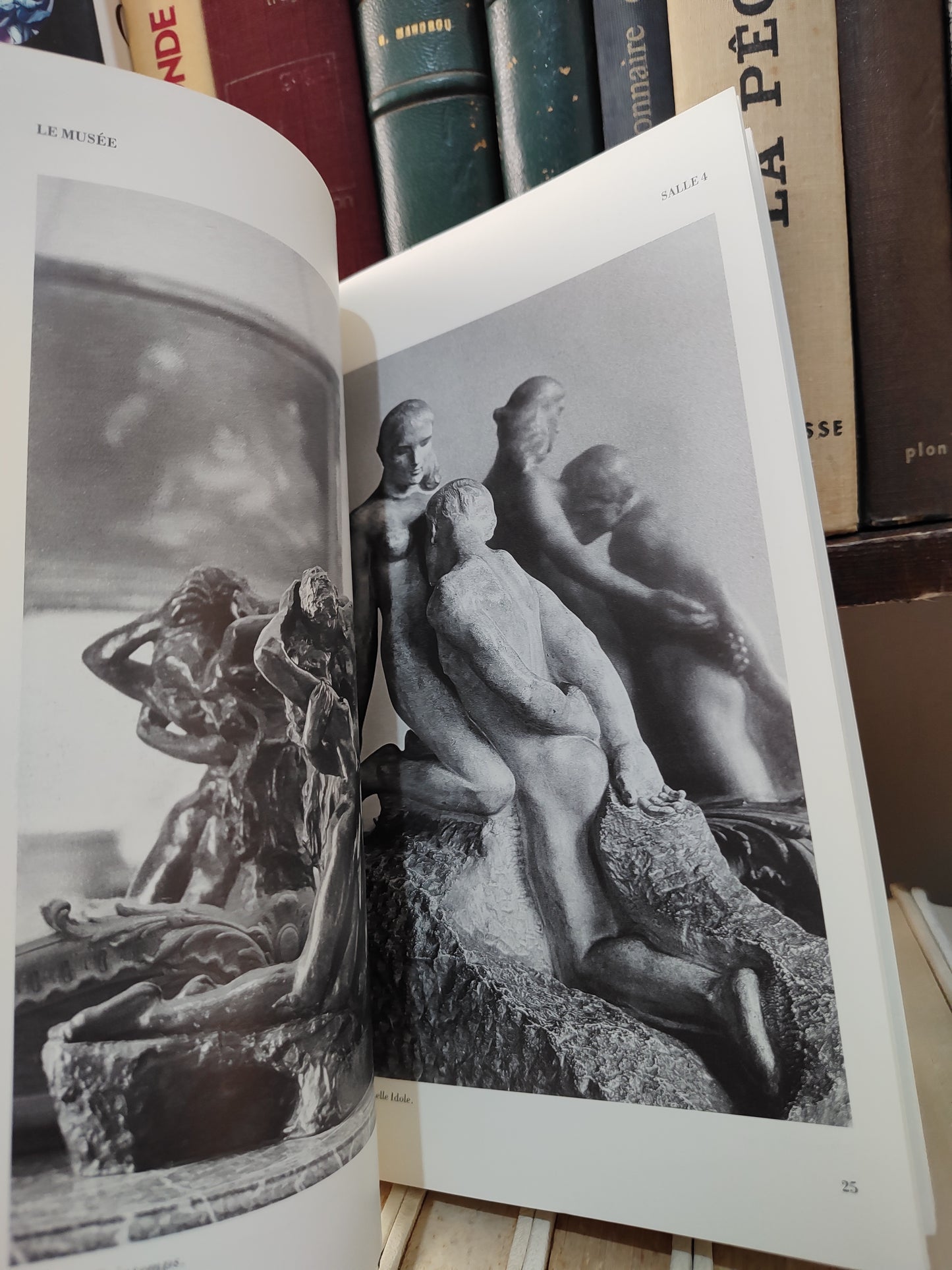 Laurent - Guide du musée Rodin